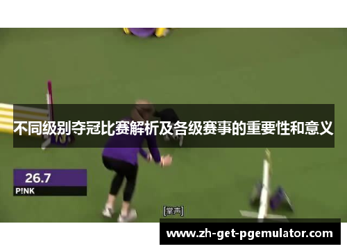 不同级别夺冠比赛解析及各级赛事的重要性和意义