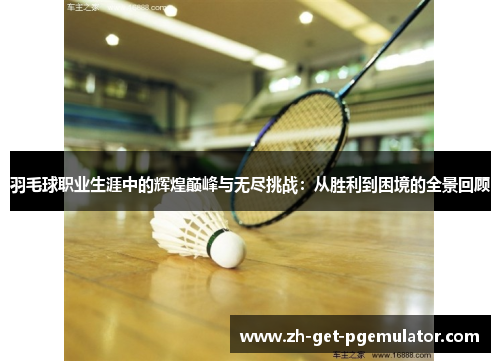羽毛球职业生涯中的辉煌巅峰与无尽挑战：从胜利到困境的全景回顾
