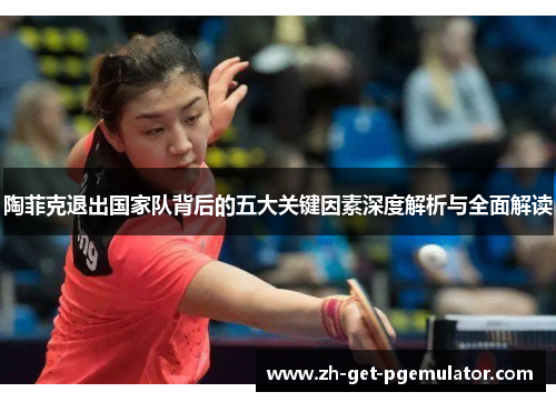 陶菲克退出国家队背后的五大关键因素深度解析与全面解读