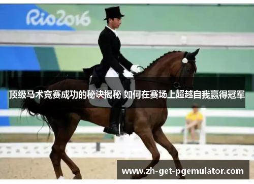 顶级马术竞赛成功的秘诀揭秘 如何在赛场上超越自我赢得冠军