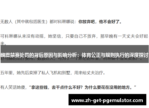 魏震禁赛处罚的背后原因与影响分析：体育公正与规则执行的深度探讨