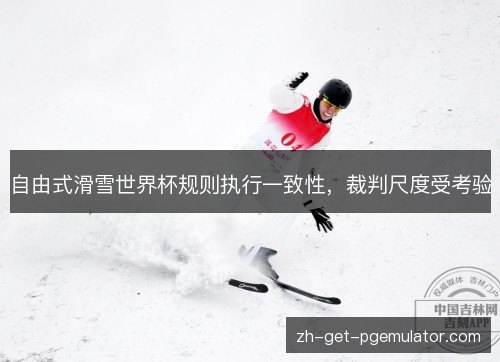 自由式滑雪世界杯规则执行一致性，裁判尺度受考验