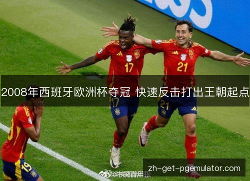 2008年西班牙欧洲杯夺冠 快速反击打出王朝起点